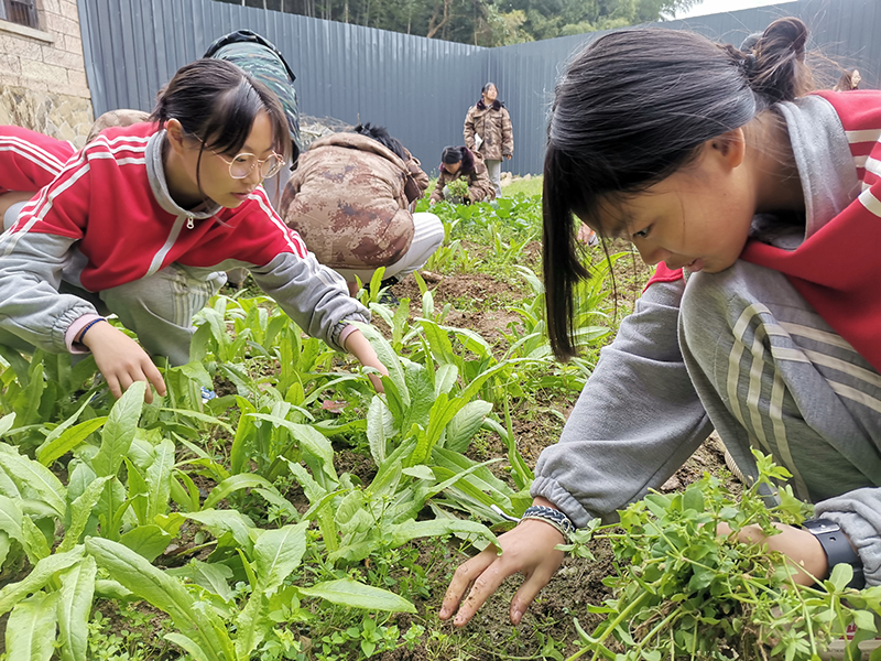 青春期叛逆孩子的封闭式管理学校