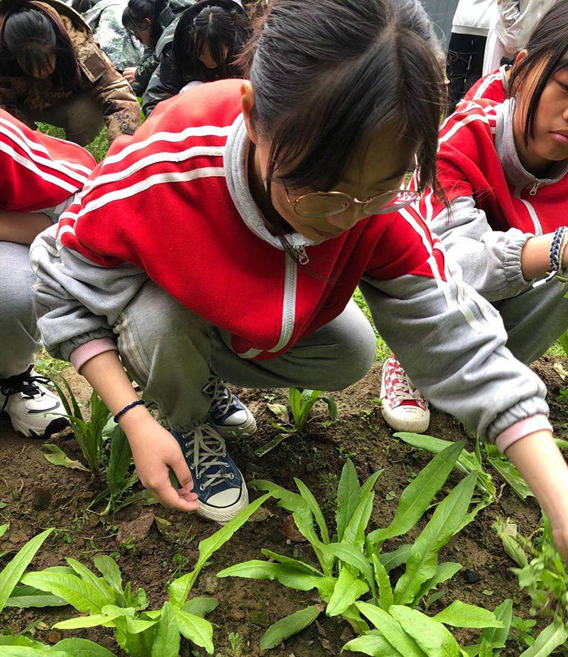 正规管理叛逆期孩子戒除网瘾的特训学校