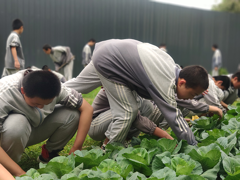 叛逆期青少年厌学逃课自卑励志教育学校